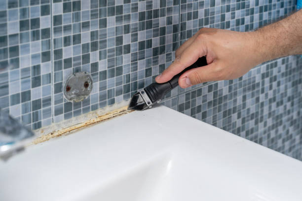 Best Local Mold Removal Service  in Howard Lake, MN